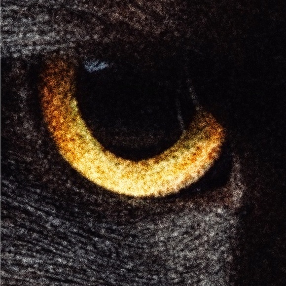 Little Ghost Enamel Pin - Ghost Busters  / black cat - Picture 3 of 3